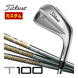 タイトリスト　T100　アイアン　DG95　/　DG105　/　DG120　シャフト　単品[＃3、＃4、W50]　特注カスタムクラブ