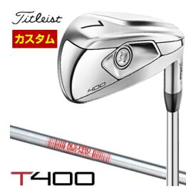 タイトリスト　T400　アイアン　N.S.PRO　880　AMC　シャフト　単品[＃5、＃6、49度、55度]　特注カスタムクラブ