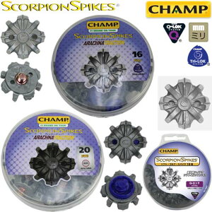 `v XR[sI StV[Yp XpCNe [tH[Np`t]