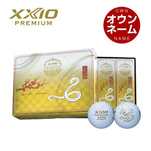 IEl[Ή [NVI v~A 2025N x St{[ 1_[X [12] ʌ