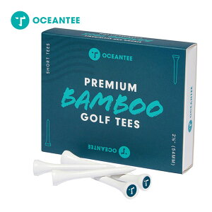 I[V eB[ |SteB[  54mm T-793