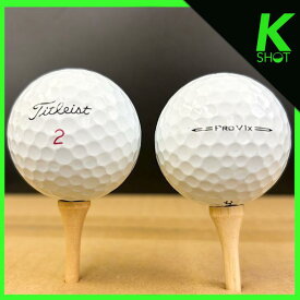 TITLEIST　Pro V1x 23年　ホワイト 10球 ★★★★★【高品質】【送料無料】　ゴルフボール　ロストボール タイトリスト【中古】