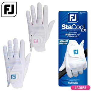 tbgWC XeCN[ EX StO[u FGWSC25 葕p fB[X 2025Nt