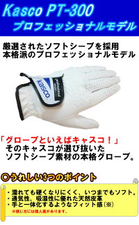 キャスコ 天然皮革 ゴルフグローブ プロフェッショナルモデル PT-300E ソフトシープ使用 【Kasco】【メンズ】【手袋】
