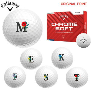 yIWi}[Nvg{[([2-3)zLEFCSt N\tg(CHROME SOFT) St{[ 1_[X (12) 2024Nf At@xbgB }[N