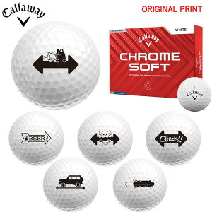 yIWi}[Nvg{[([2-3)zLEFCSt N\tg(CHROME SOFT) St{[ 1_[X (12) 2024Nf ^[QbgCC }[N