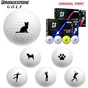 �y�I���W�i���}�[�N�v�����g�{�[��(�[��2-3��)�z�u���a�X�g�� 2026 TourB-X / TourB-XS �c�A�[B �S���t�{�[�� 1�_�[�X(12��) 2026�N���f�� �V���G�b�g �}�[�N����