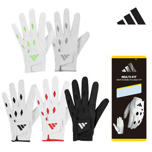 (͂[3-5)AfB_X St }`tBbg 24 O[u IKL21 葕p Y 2024Nt