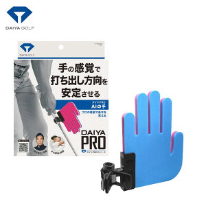 ([)_CSt _CPRO AI̎ TR-5004 XCOKyASUz