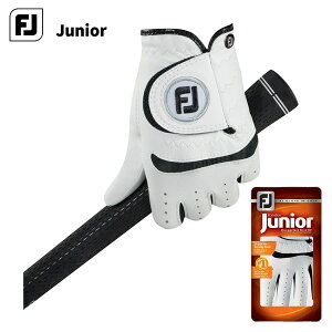 (͂[3-5)tbgWC WjA StO[u FGJR25WTPR 葕p 2025Nt