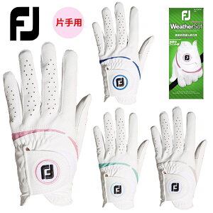 (͂[3-5)tbgWC EBY EFU[\t 葕p StO[u FGWFW23 fB[X 18`21cm 2023N