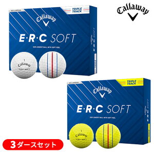 y3_[XZbgzLEFC EEREC SOFT(ERC\tg) gvEgbN St{[ 3_[X(36) 2025Nf({Ki)