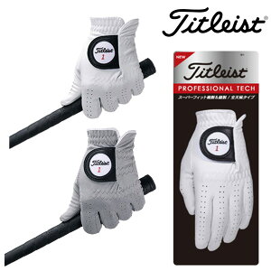 ^CgXg vtFbViebN O[u TG53 葕p Y 2023NyASUz