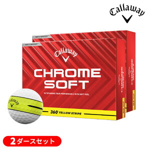y2_[XZbgzLEFCSt N\tg(CHROME SOFT) 360 CG[XgCv St{[ 2_[X (24) 2025Nf