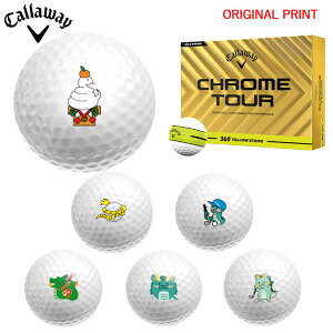 yIWi}[Nvg{[([2-3)zLEFC NcA[(CHROME TOUR) 360 CG[XgCv St{[ 1_[X (12) 2025Nf x vg }[N