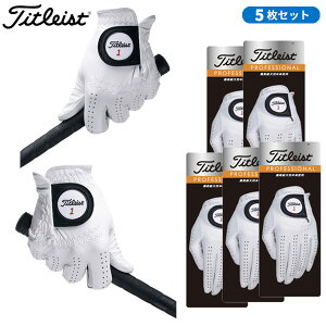 ()y5Zbgz^CgXg vtFbVi O[u TG73 (葕p / E葕p) Y 2023N