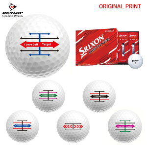 【オリジナルマークプリントボール(納期2-3日)】ダンロップ SRIXON DISTANCE9 ディスタンス9 ゴルフボール 1ダース(12球入)2023年継続モデル ターゲットライン マーク入