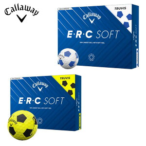 yʌzLEFC EEREC SOFT(ERC\tg) TRUVIS(gD[rX) St{[ 1_[X(12) 2025Nf({Ki)