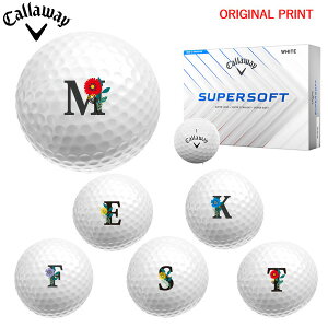 yIWi}[Nvg{[([2-3)zLEFC SUPERSOFT (X[p[\tg) St{[ 1_[X (12) 2025Nf At@xbgB }[N