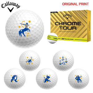 yIWi}[Nvg{[([2-3)zLEFC NcA[(CHROME TOUR) 360 CG[XgCv St{[ 1_[X (12) 2025Nf vgA }[N