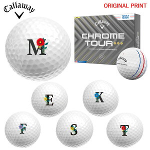 yIWi}[Nvg{[([2-3)zLEFC NcA[ gv_Ch gvgbN St{[ 1_[X(12) 2025Nf At@xbgA }[N