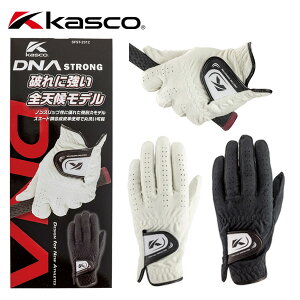 (͂[3-5)LXR DNA STRONG (XgO)StO[u XG[hv 葕p SFST-2312 Y 2024Nf