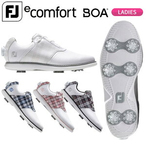 ([)tbgWC C[RtH[g(ecomfort) {A StV[Y BOA^Cv fB[X XpCN W(Ch) 2025Nf