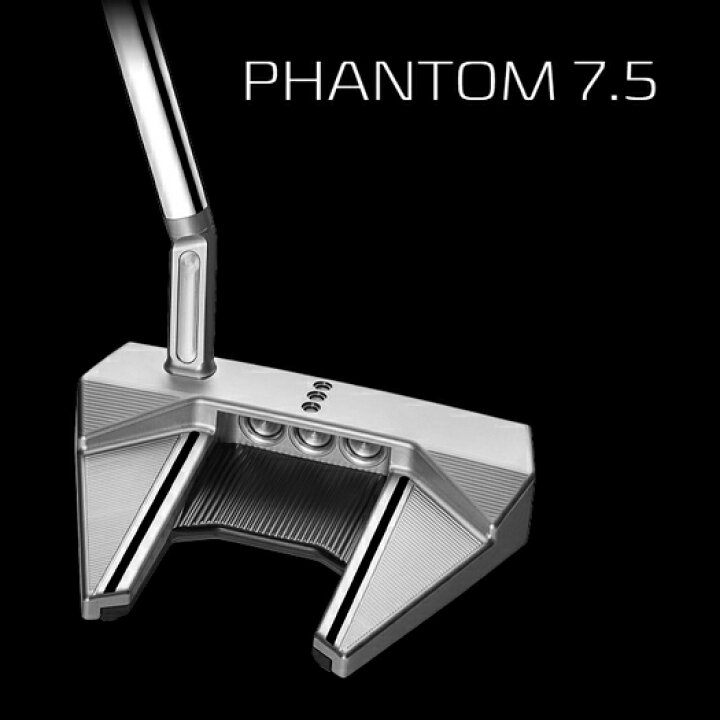 楽天市場】タイトリスト スコッティキャメロン ファントム （PHANTOM 
