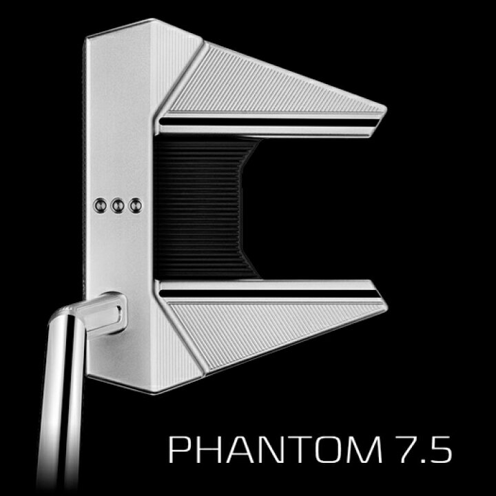 楽天市場】タイトリスト スコッティキャメロン ファントム （PHANTOM 