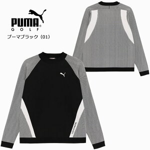 iZ[jv[} St PF ptH[}X u Rr N[XEFbgi630421jY 2024H~ jbg Xgb`