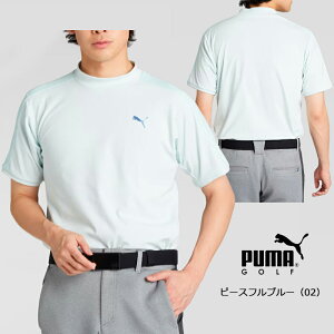 iZ[jv[} St Y PF ebN C 3D bNlbN  Vci633308j2025t