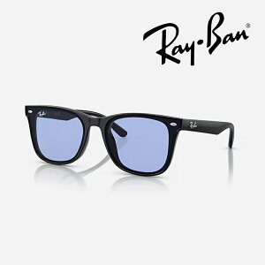 �y���{���K�i�z���C�o�� �T���O���X�i RB4391D 601/80 65�j���[�u���b�W�t�B�b�g�i�|���b�V�� �u���b�N/�����Y�F�u���[ �j