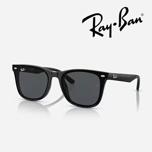 �y���{���K�i�z���C�o�� �T���O���X�iRB4391D 601/87 65�j���[�u���b�W�t�B�b�g�i�|���b�V�� �u���b�N/�����Y�F�_�[�N�O���[�j