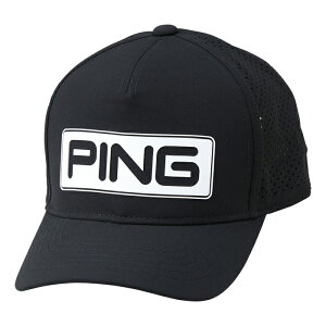 PING HW-T2501 cA[Lbv H p`ObV