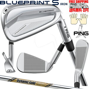 s BLUEPRINT S WX`[Vtg Dynamic GOLD EX TOUR ISSUE Pi FtBb^[Ή܂B EL {Ki 