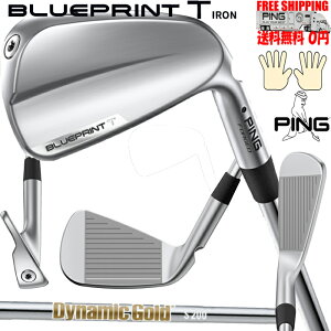 s BLUEPRINT T WX`[Vtg Dynamic GOLD Pi FtBb^[Ή܂B EL {Ki 