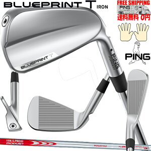 s BLUEPRINT T N.S.PRO MODUS110 IvVX`[Vtg Pi FtBb^[Ή܂B EL {Ki 