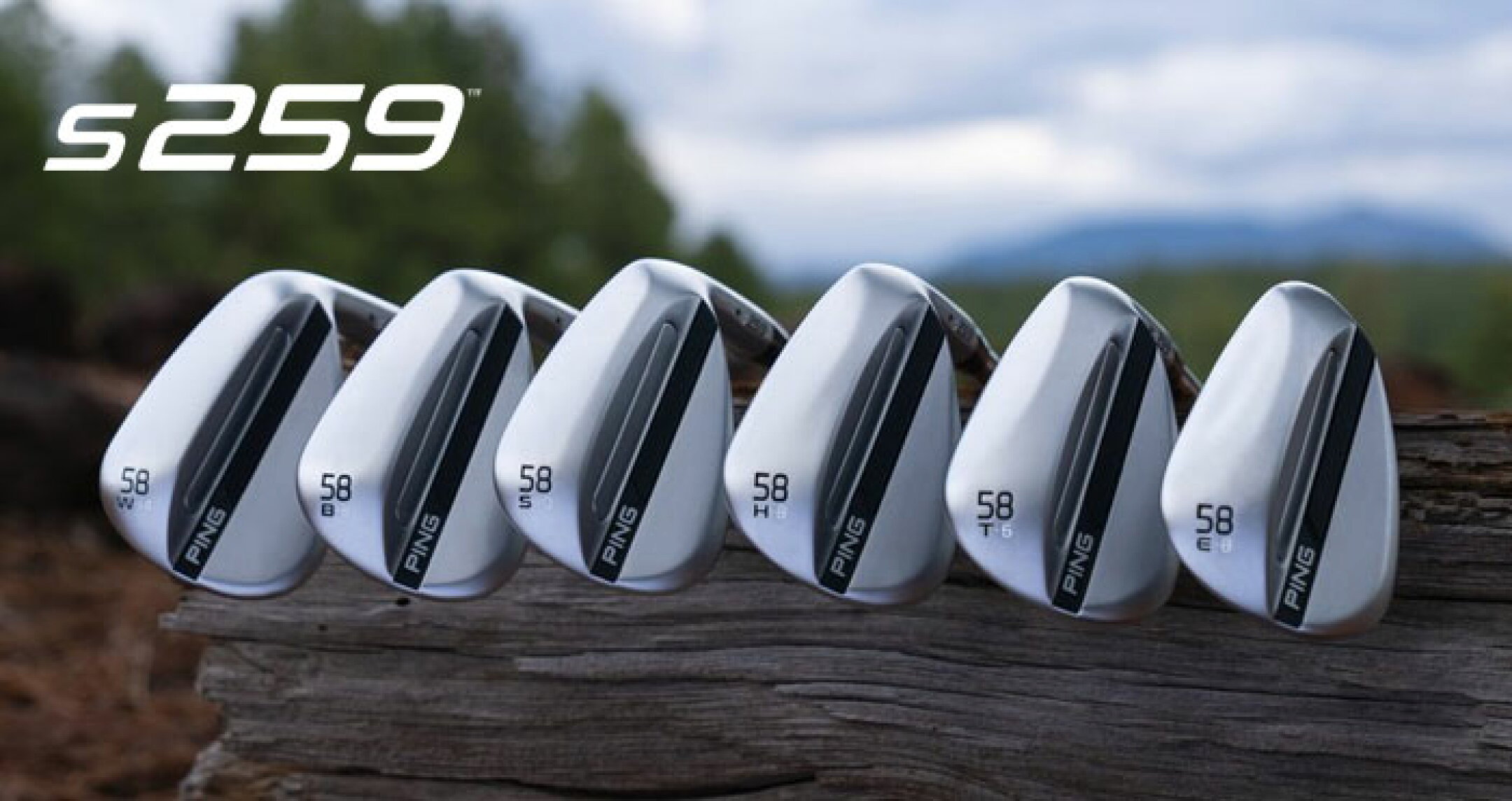 S259Wedge
