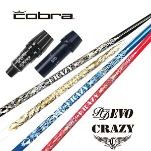 CRAZY RD EVO Ru X[utVtg hCo[p yXgzyObvtzyH݁zyJX^z