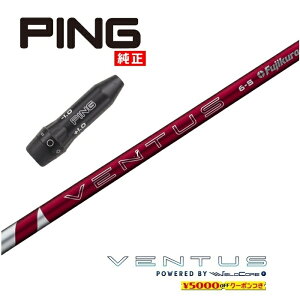 2024 VENTUS RED s USX[utVtg tWN hCo[p tFAEFCEbhp yXgzyObvtzyH݁zyJX^z