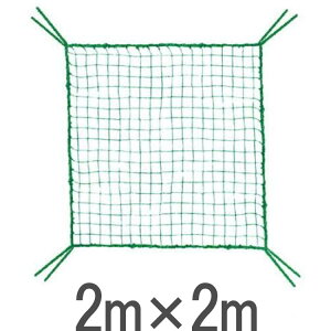 ライト M-124 ゴルフ練習ネット用 取替・補強 規格ネット(2m×2m) 【ゴルフ】