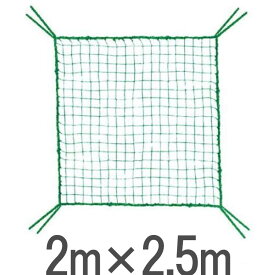 ライト M-127 ゴルフ練習ネット用 取替・補強 規格ネット（2m×2.5m） 【ゴルフ】