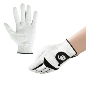 yGg[őSi|Cg3{zyizI}[ cA[ Lu^[ Y StO[u (jp) OR029732 y240~[֑ΉizyStzyZ[iEAEgbgz