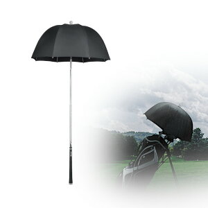 I}[ StobO LfBobN Au St P Au Jpi OR122037 yStz