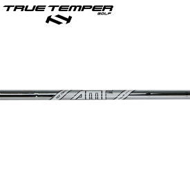 トゥルーテンパー AMT ツアー ホワイト スチール アイアンシャフト (True Temper AMT Tour White Iron) 【単品】