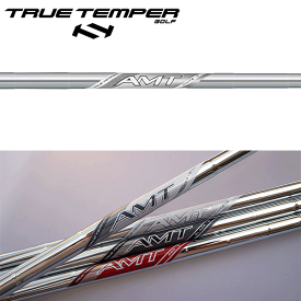 トゥルーテンパー AMT ホワイト スチール アイアンシャフト (2025年モデル) 【#5-W/6本組】(True Temper AMT White Iron 2025 Ver.) (#5-#W/6pcs set)
