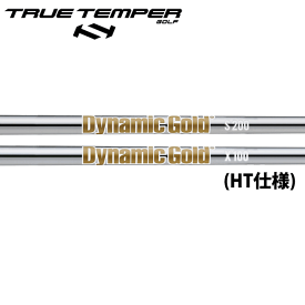 トゥルーテンパー ダイナミックゴールド スチール アイアンシャフト (ヒートトランスファー(HT)仕様) (True Temper DG Iron HT Ver.) 【単品】