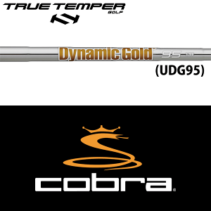 yDS-ADAPTΉzySă[J[igpzyRu nCubhp  X[utVtgzgD[ep[ _Ci~bNS[h 95 X`[ [eBeB[ / ACA (True T