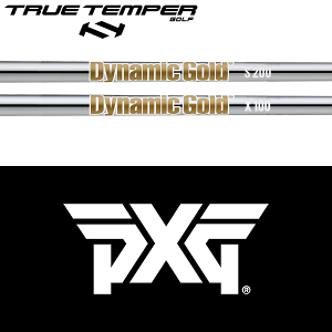 ySă[J[igpzyPXG nCubhp  X[utVtgzgD[ep[ _Ci~bNS[h HT X`[ ACA (True Temper DG HT Iron)