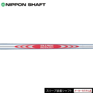 y{Kizye[[ChXL[pX[ut JX^Vtgz {Vtg N.S.Pro [_X3 cA[ 120 X`[ ACAVtg iN.S.Pro Modus3 Tour 120 Ironj yStz